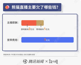 圖解王思聰商業(yè)風波 從“國民老公”到“限消令”漩渦，熊貓直播債務迷局待解
